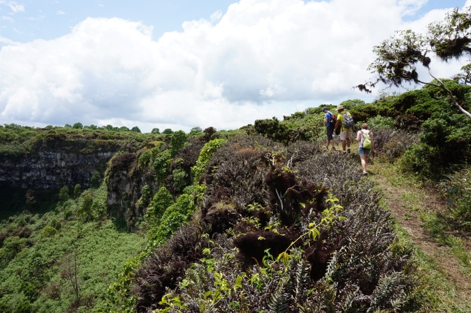 Exploring the volcanic landscape of Santa Cruz